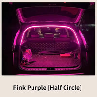 2M Pink Purple